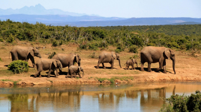 Safari in Tansania, welche Orte sollte man wÃ¤hlen und wie kann man sie organisieren?