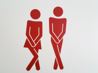 Mobile Toiletten mieten in Dresden - Ihre flexible und zuverlÃ¤ssige LÃ¶sung fÃ¼r alle Veranstaltungen und Baustellen